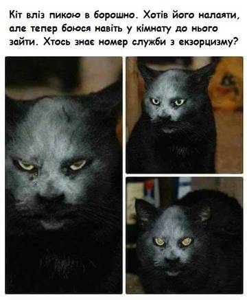 http://upforme.ru/uploads/001a/b7/a9/3/t765767.jpg