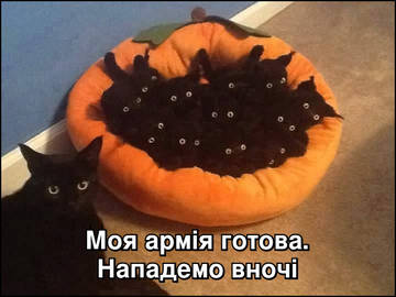 http://upforme.ru/uploads/001a/b7/a9/3/t899999.jpg