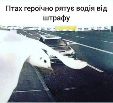 http://upforme.ru/uploads/001a/b7/a9/3/t900899.jpg
