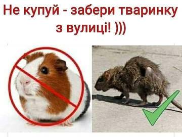 http://upforme.ru/uploads/001a/b7/a9/3/t901899.jpg