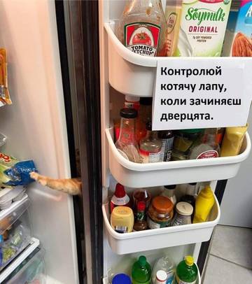 http://upforme.ru/uploads/001a/b7/a9/3/t902403.jpg