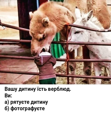 http://upforme.ru/uploads/001a/b7/a9/3/t915574.png