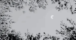 http://upforme.ru/uploads/001a/b8/b0/4/87568.gif