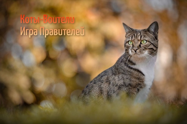 http://upforme.ru/uploads/001a/b9/7b/127/t679301.jpg