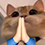 http://upforme.ru/uploads/001a/b9/fd/2/485887.png