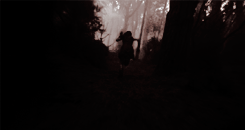 http://upforme.ru/uploads/001a/bb/51/4/30085.gif