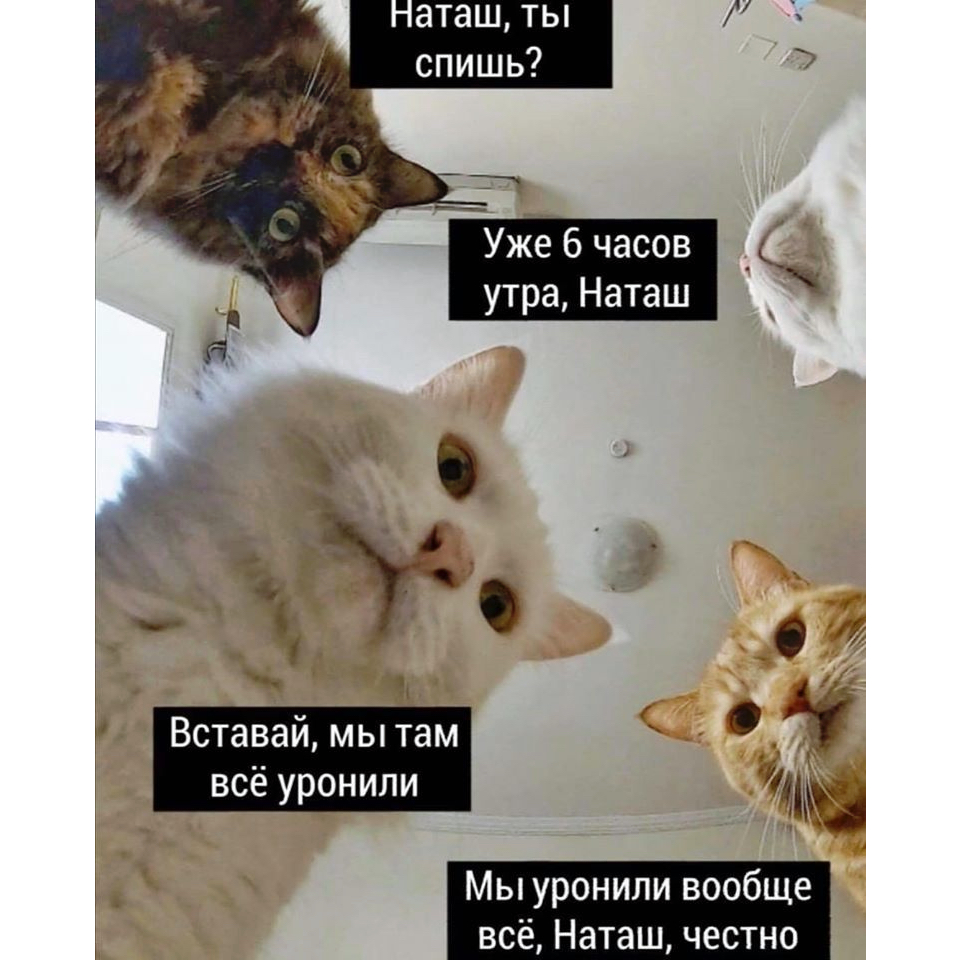 http://upforme.ru/uploads/001a/bb/51/4/475120.jpg