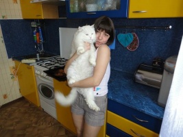 http://upforme.ru/uploads/001a/bc/e5/3/t244744.jpg