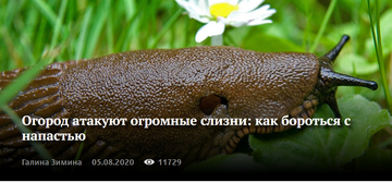 http://upforme.ru/uploads/001a/be/82/2/t18277.png