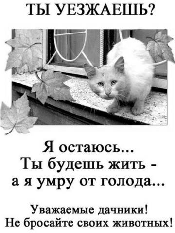 http://upforme.ru/uploads/001a/be/82/2/t217473.jpg