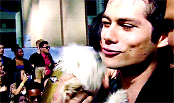 http://upforme.ru/uploads/001a/be/9d/57/670687.gif