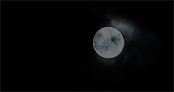 http://upforme.ru/uploads/001a/bf/46/35/907744.gif