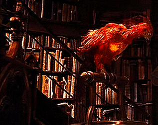 http://upforme.ru/uploads/001a/bf/82/2/t981478.gif
