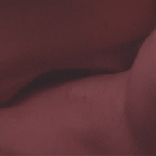 http://upforme.ru/uploads/001a/c0/4f/24/297944.gif