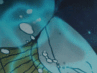 http://upforme.ru/uploads/001a/c0/74/432/15970.gif