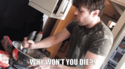 http://upforme.ru/uploads/001a/c0/c6/9/573513.gif
