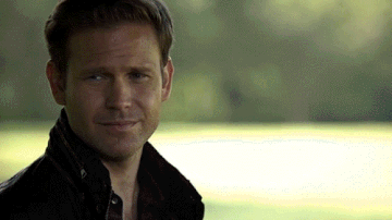 http://upforme.ru/uploads/001a/c0/d2/5/t418737.gif