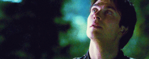 http://upforme.ru/uploads/001a/c0/d2/5/t614448.gif