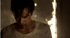 http://upforme.ru/uploads/001a/c0/d2/5/t791622.gif