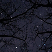 http://upforme.ru/uploads/001a/c3/31/3/603531.gif