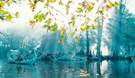 http://upforme.ru/uploads/001a/c3/31/3/872308.gif