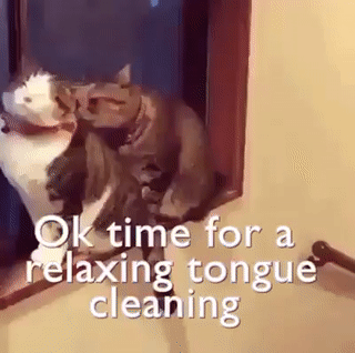 http://upforme.ru/uploads/001a/c3/ba/11/668898.gif