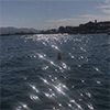 http://upforme.ru/uploads/001a/c3/ce/133/506019.gif