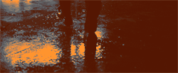http://upforme.ru/uploads/001a/c4/ff/153/655483.gif