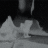 http://upforme.ru/uploads/001a/c4/ff/26/86568.gif