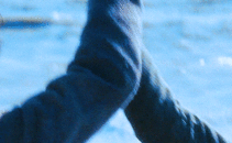 http://upforme.ru/uploads/001a/c4/ff/401/648793.gif