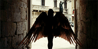 http://upforme.ru/uploads/001a/c6/bc/2/t327476.gif