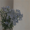 http://upforme.ru/uploads/001a/c7/2f/62/297242.png