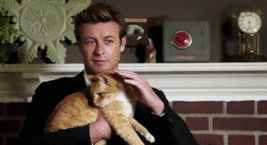http://upforme.ru/uploads/001a/c7/f4/45/t769173.gif