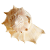 http://upforme.ru/uploads/001a/c7/fc/147/962730.png