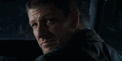 http://upforme.ru/uploads/001a/c7/fc/172/840010.gif