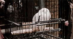 http://upforme.ru/uploads/001a/c7/fc/209/386222.gif