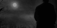 http://upforme.ru/uploads/001a/c7/fc/212/886018.gif