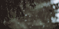 http://upforme.ru/uploads/001a/c7/fc/212/947213.gif