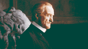 http://upforme.ru/uploads/001a/c7/fc/23/401068.gif