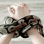 http://upforme.ru/uploads/001a/c7/fc/23/741393.png