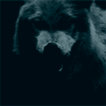 http://upforme.ru/uploads/001a/c7/fc/23/796307.gif