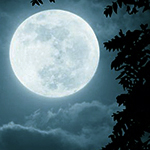 http://upforme.ru/uploads/001a/c7/fc/23/806772.jpg