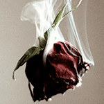 http://upforme.ru/uploads/001a/c7/fc/23/820294.png