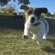 http://upforme.ru/uploads/001a/c7/fc/237/t398260.gif