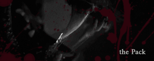 http://upforme.ru/uploads/001a/c7/fc/27/512218.gif