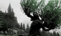 http://upforme.ru/uploads/001a/c7/fc/41/473715.gif
