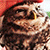 http://upforme.ru/uploads/001a/c7/fc/48/95066.gif