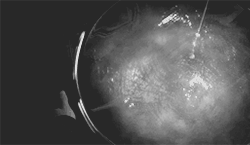http://upforme.ru/uploads/001a/c7/fc/95/768751.gif