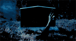 http://upforme.ru/uploads/001a/c7/fc/97/t154102.gif