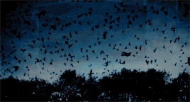 http://upforme.ru/uploads/001a/c7/fc/97/t819793.gif